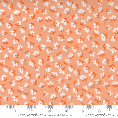 Paisley Rose Vivienne Floral in Peach - Priced by the Half Yard - Expected Feb 2022 - brewstitched.com