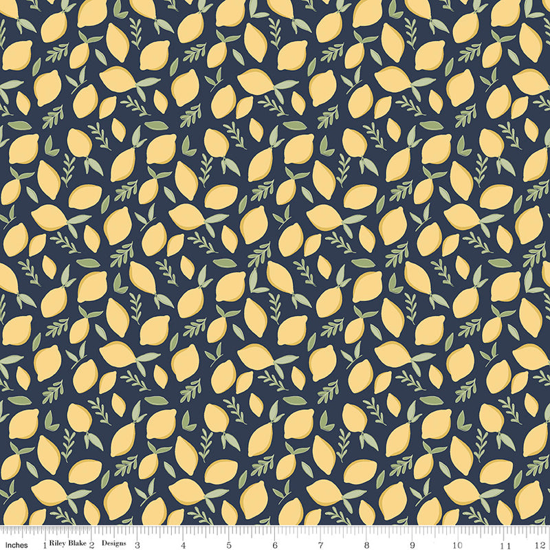 Daybreak Lemons Midnight - Priced by the Half Yard - brewstitched.com