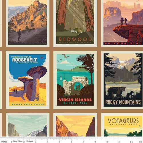 National Parks Fabric Posters Sand - Price by the Panel 24 x 44 - brewstitched.com